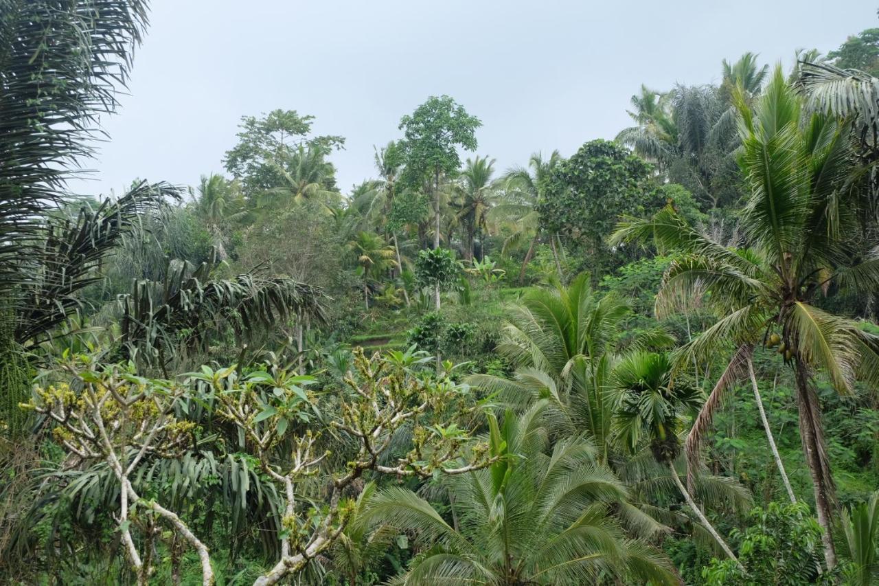 德格拉朗Gunung Kawi House别墅 外观 照片
