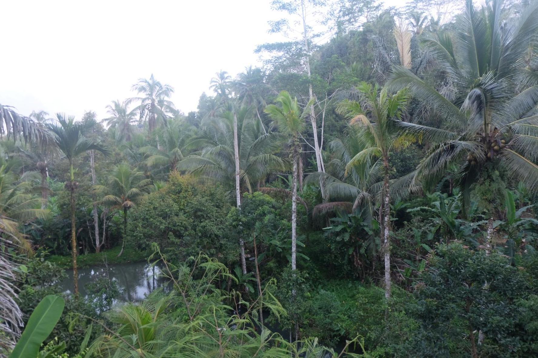 德格拉朗Gunung Kawi House别墅 外观 照片