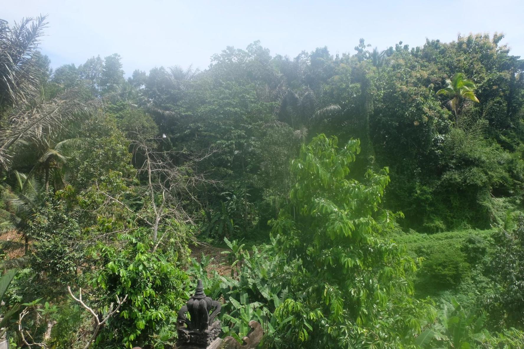 德格拉朗Gunung Kawi House别墅 外观 照片
