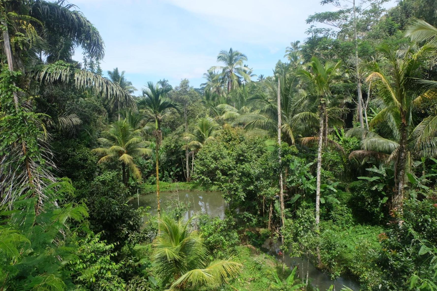德格拉朗Gunung Kawi House别墅 外观 照片