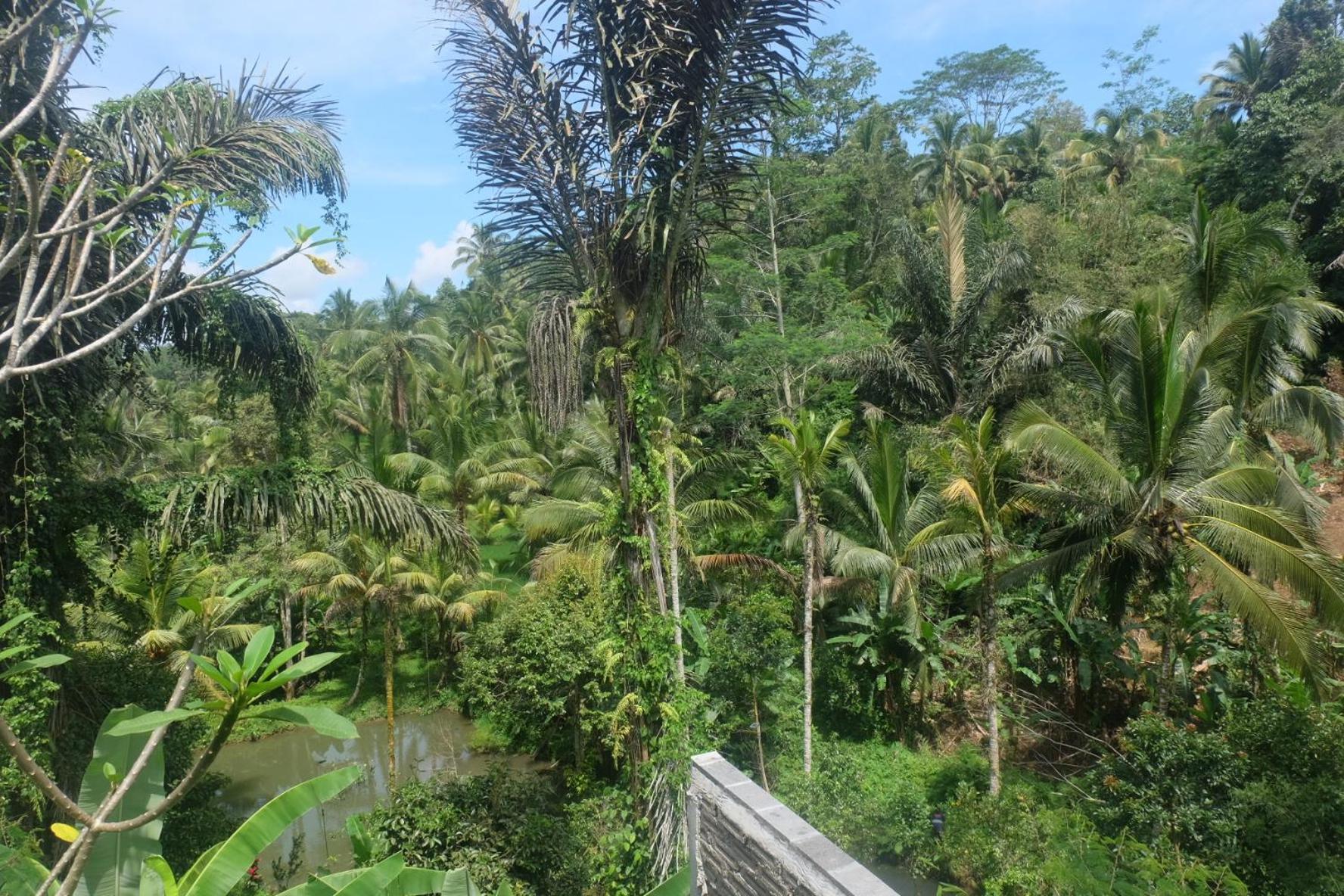 德格拉朗Gunung Kawi House别墅 外观 照片