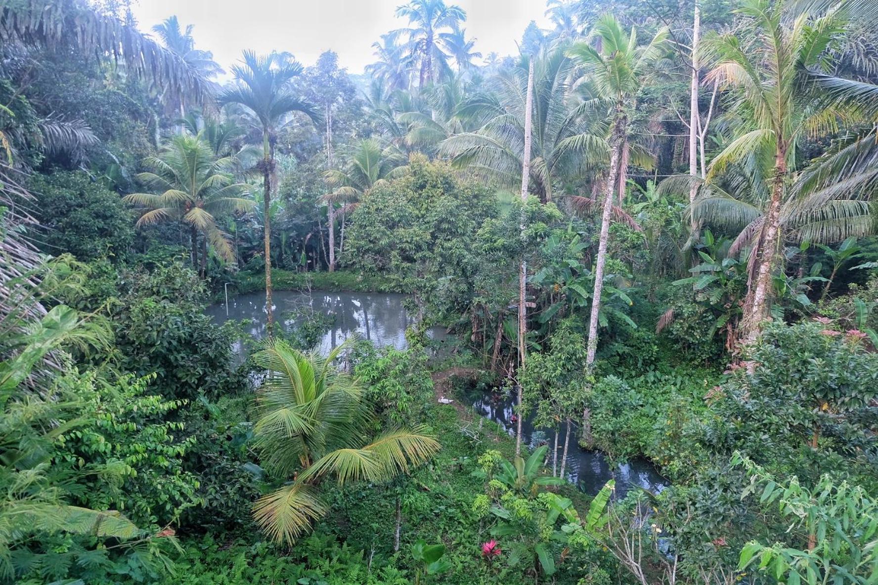 德格拉朗Gunung Kawi House别墅 外观 照片