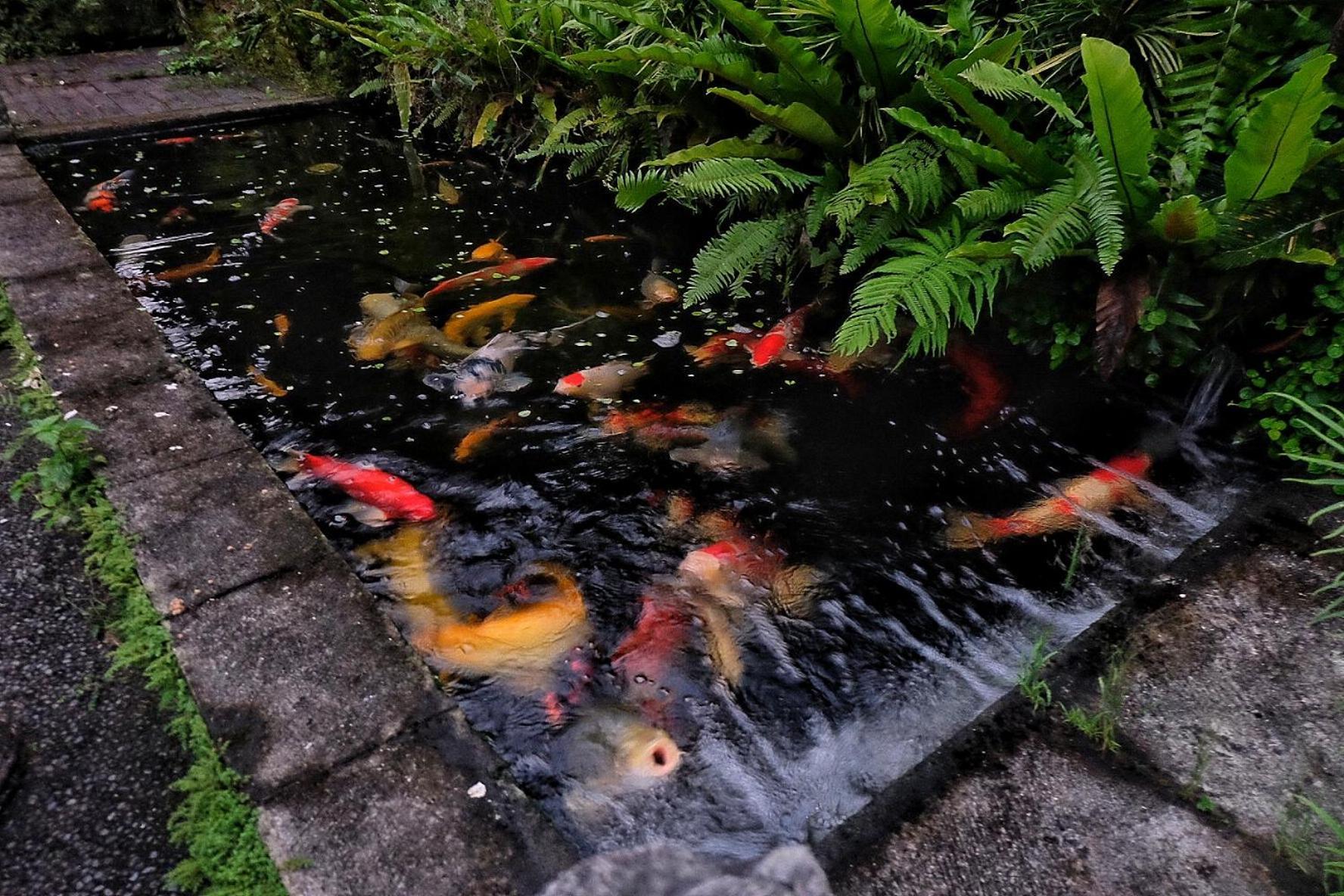 德格拉朗Gunung Kawi House别墅 外观 照片